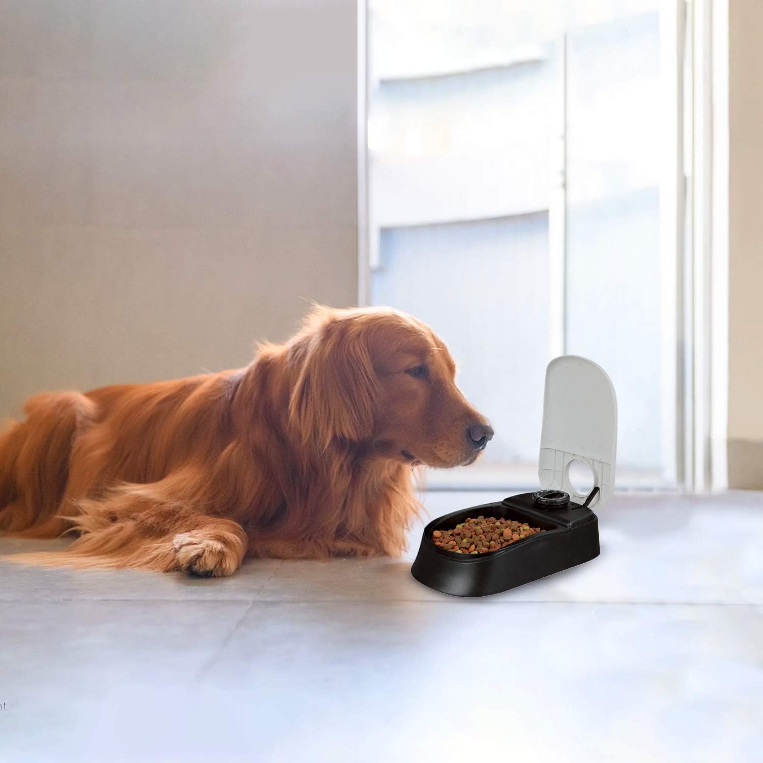 Automatic Pet Feeder for Dogs and Cats, 1.5 Cup Food Dispenser Feeder with 48-Hour Timer - Single